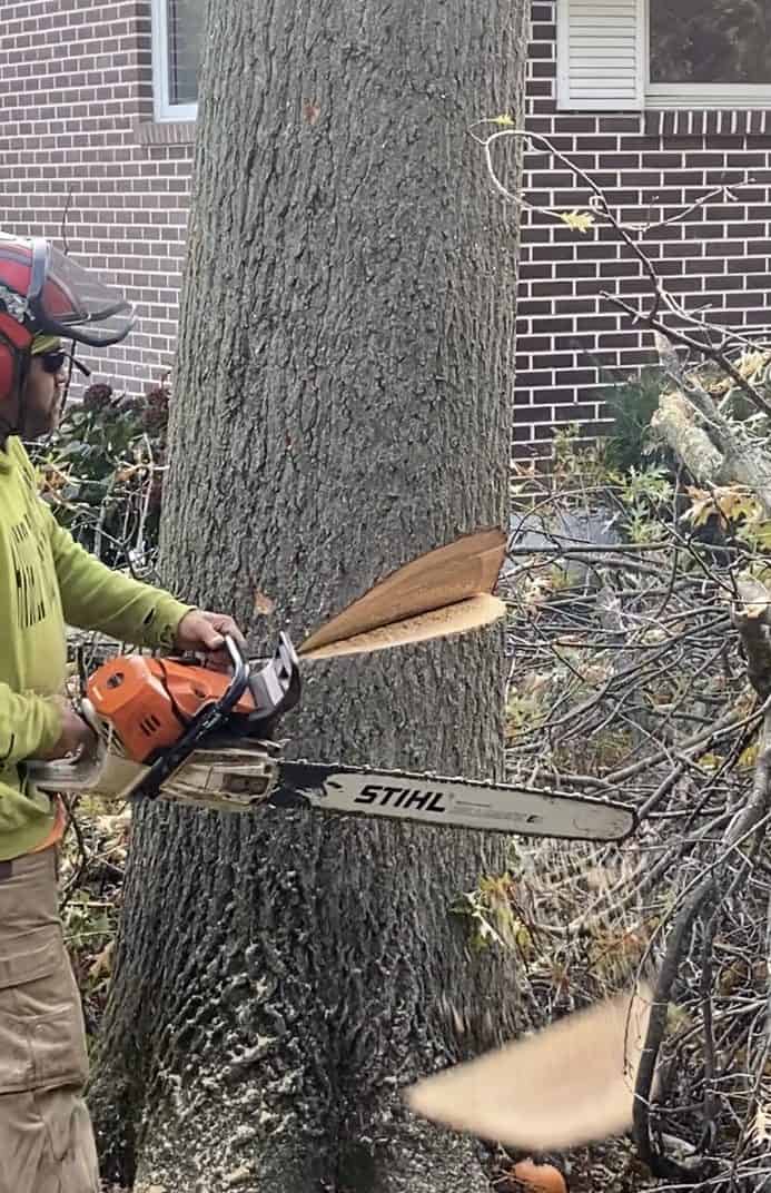 Tree Removal in Lehigh County, PA