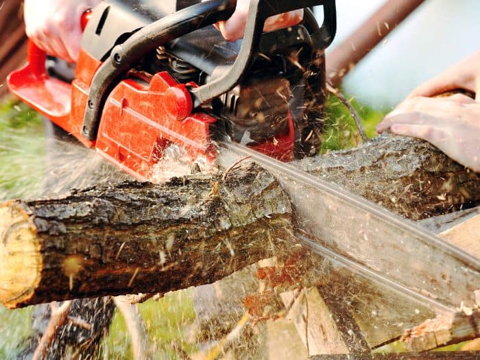 Tree Trimming in Lehigh County