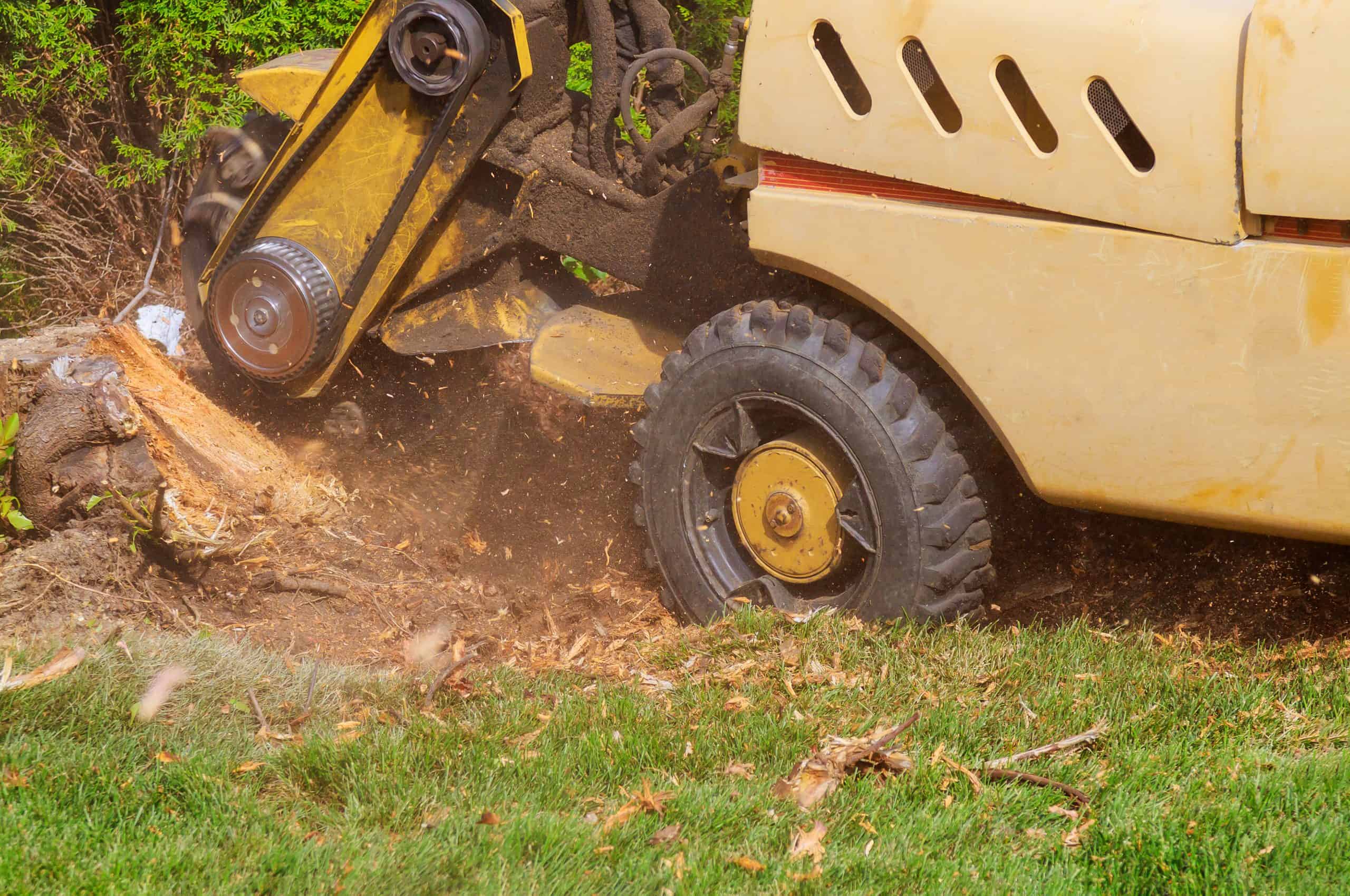 A yellow stump grinder from a reputable Lehigh County tree company is actively grinding a tree stump in a grassy area. Wood chips and dust are visible around the machine, indicating the stump grinding process. The machine's wheels and blades are prominently shown, showcasing efficient tree service in Lehigh County.