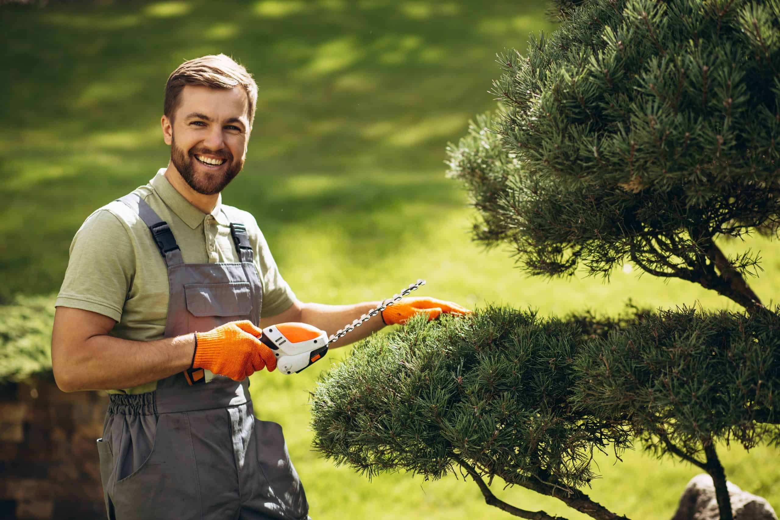 A man in gray overalls and orange gloves is smiling while expertly trimming a bush with an electric hedge trimmer, showcasing his tree service skills in a lush green garden on a sunny day.