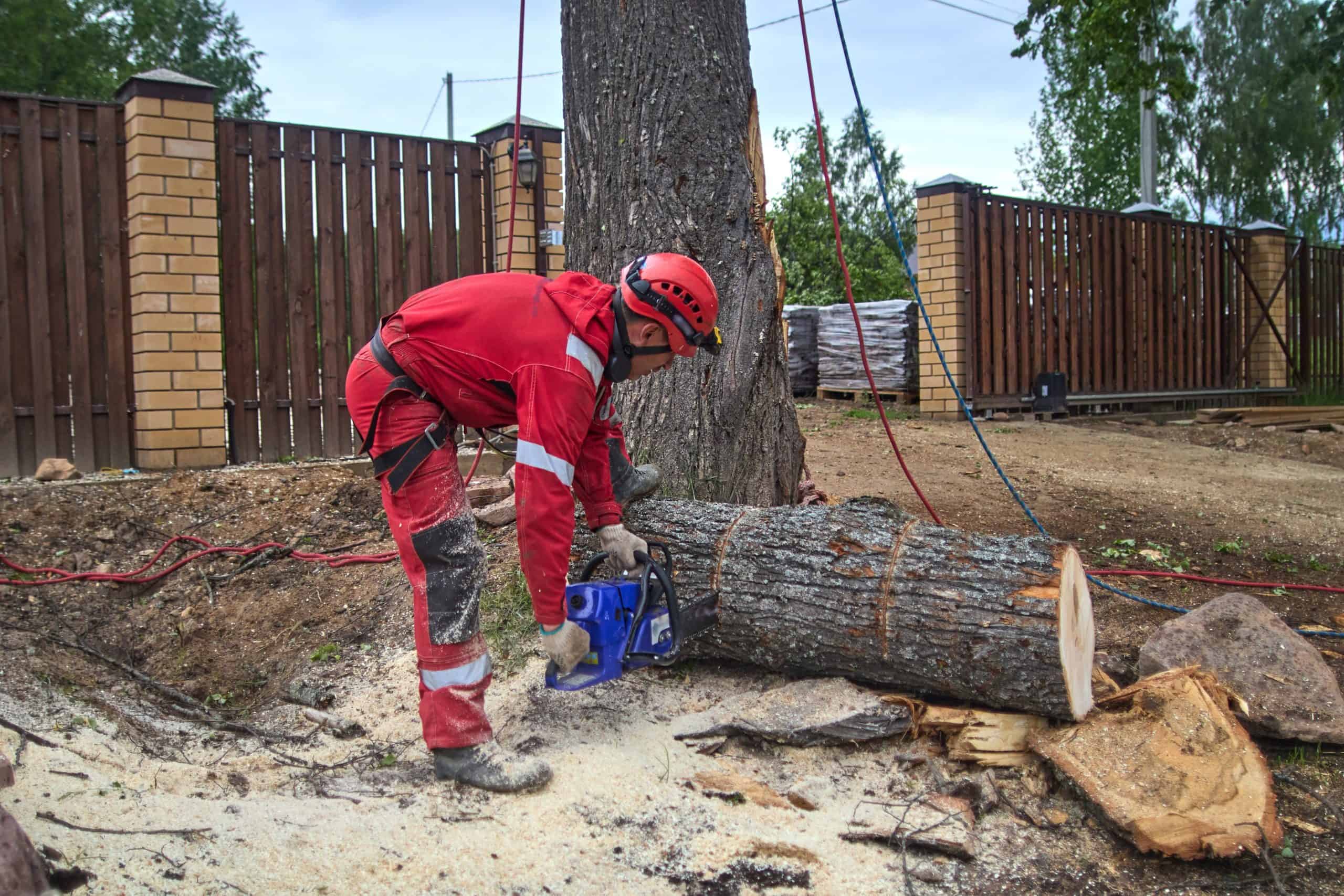 A person in red safety gear is expertly cutting a fallen tree trunk with a chainsaw outdoors, showcasing the skilled work of a Lehigh County tree company. Sawdust covers the ground, and a brick fence is visible among the trees in the background.